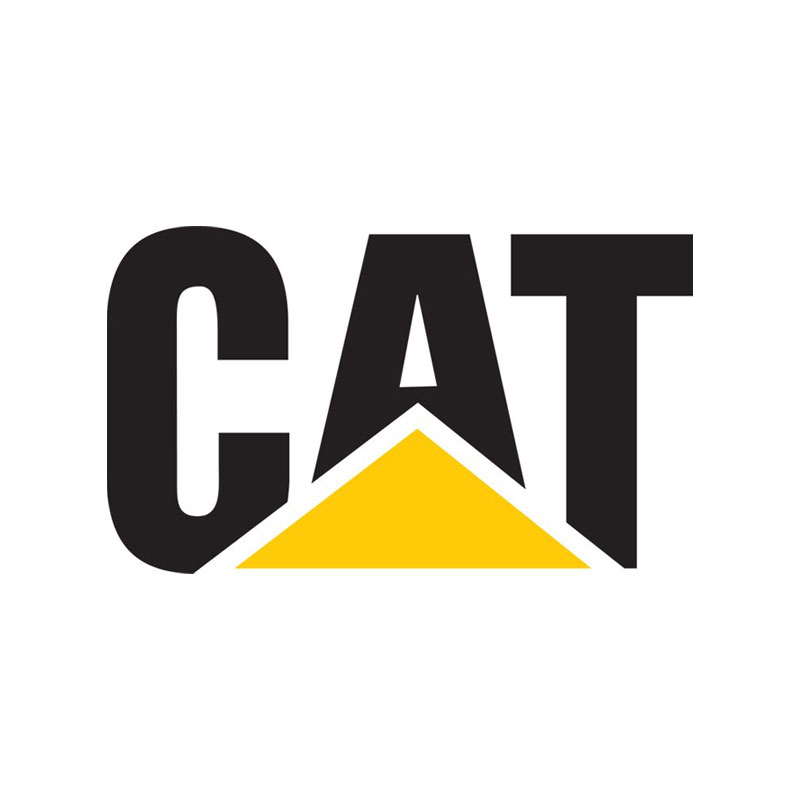 LOGO-CAT